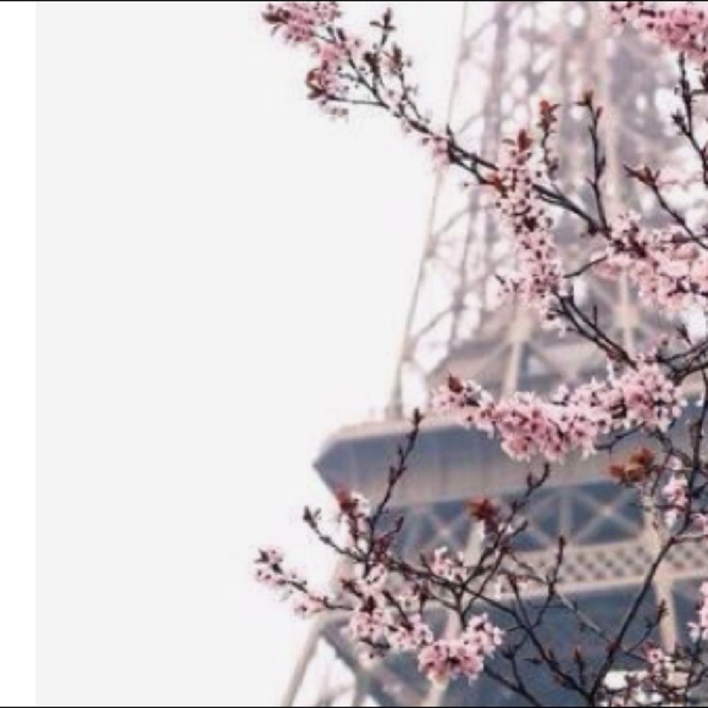 Meet your Posher, Ajshe